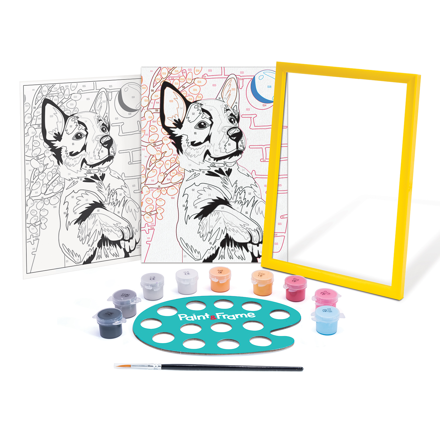 Paint & Frame | Paint by Numbers - Playful Husky | Για Ηλικίες 9+ Χρονών - Image 3