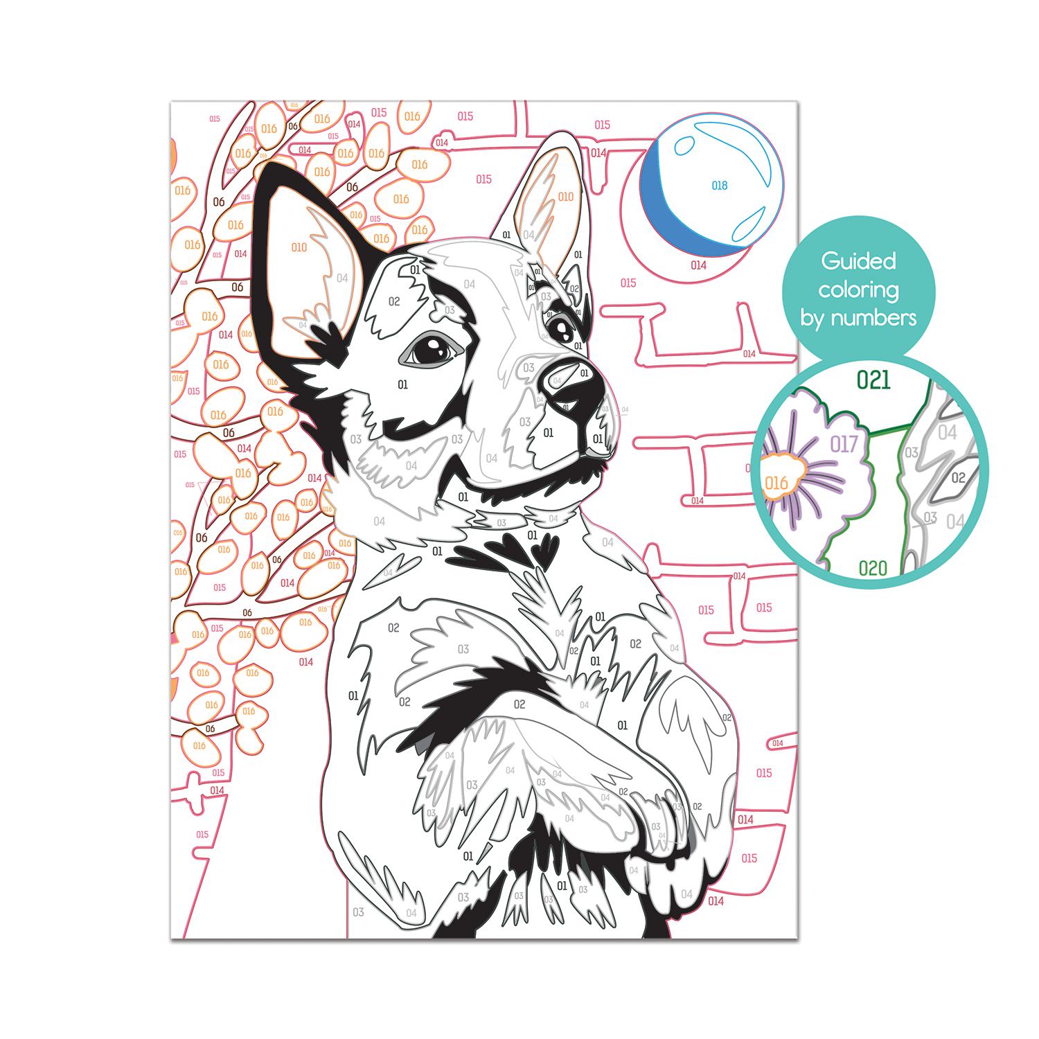 Paint & Frame | Paint by Numbers - Playful Husky | Για Ηλικίες 9+ Χρονών - Image 4