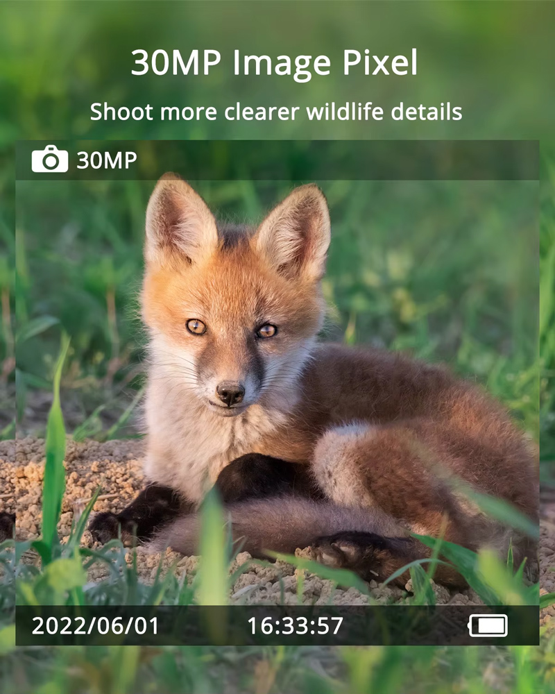 SUNTEK smart ηλιακή κάμερα κυνηγού Mini 900 Pro, PIR, 4G, 30MP/2K, SD, IP65 - Image 3