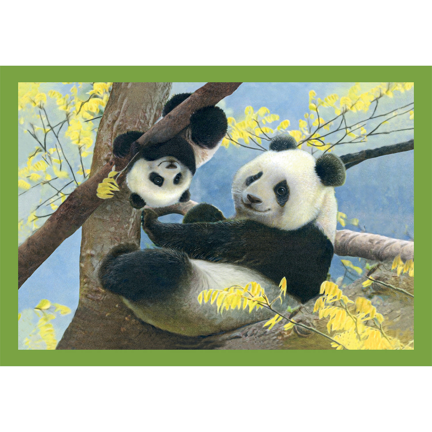 Clementoni Παζλ 4 Σε 1 Super Color Baby Cuddles - Image 4