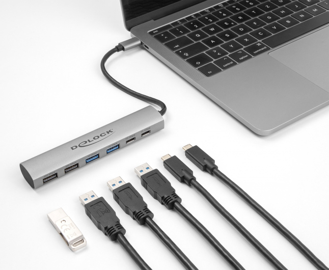 DELOCK USB hub 64232, 6x θυρών, 10Gbps, USB-C σύνδεση, γκρι - Image 2